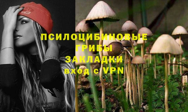 эйфоретик Зеленокумск